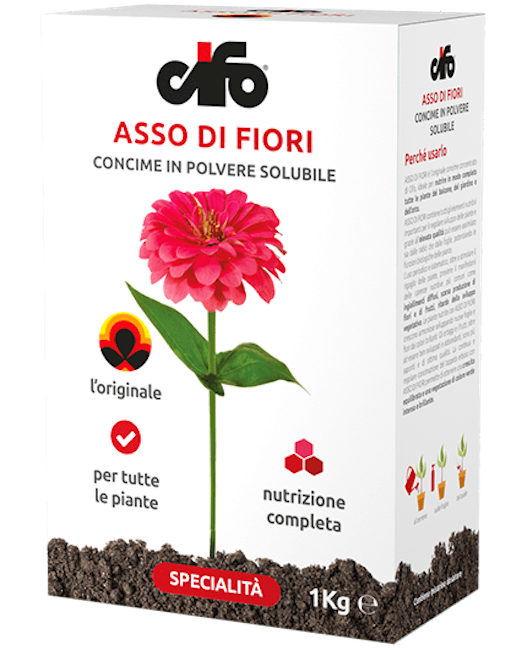 ASSO DI FIORI