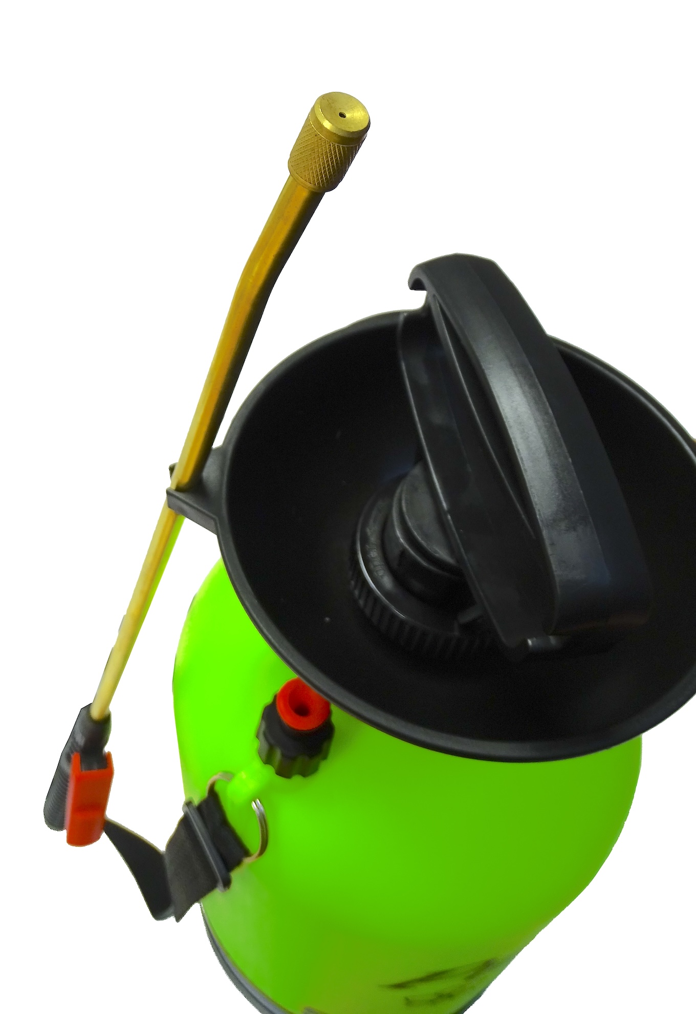 STELIS-PHOTO-1